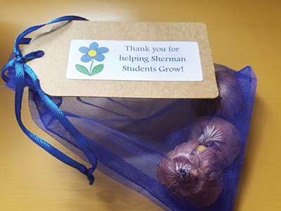 Flower bulbs - teacher appreciation idea