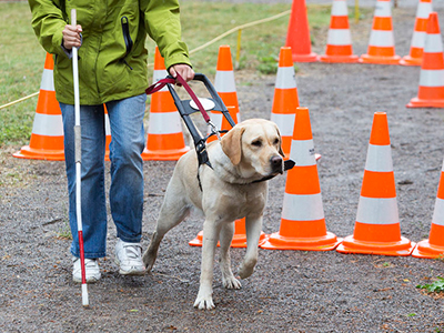 Disabilities awareness fair